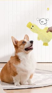 Toptan Köpek Oyuncağı Ördek Evcil Hayvan İnteraktif Hareketli Oyuncaklar - Product Image 5