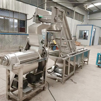 Verschillende Modellen Fruit En Groente Juicer/Sap Extracting Machine/Schroef Pers Persen Sap Extractor Machine Met Crusher