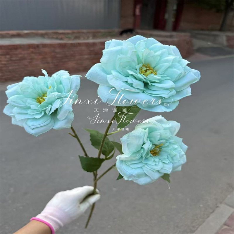 Rosas Elegantes