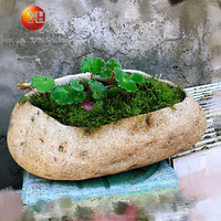 Bol de bonsaï en pierre de granit naturelle, mini cape décorative de jardin, roche, jardinière de fleurs de paysage
