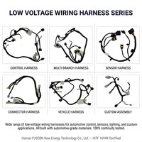 Harnais de câblage automobile personnalisé pour portières et carrosseries, assemblage multi-branques, fabricant OEM ODM 12V 24V