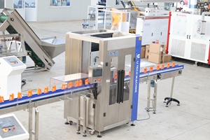 プラスチック製空ボトルフィーダーおよびアンスクランブラー機械（全自動ボトル方向変更装置付き） - Product Image 6