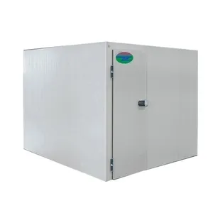 Taşınabilir et soğuk depolama odası Mini buzdolabı depolama et fiyatları su soğutmalı soğuk oda