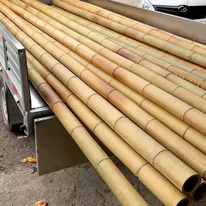 Poste seco de bambú moso natural puro, tamaño personalizado, económico, para construcción