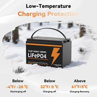 2-Pack Baterai Lithium LiFePO4 12V 100Ah Kelompok 31 dengan BMS 100A Terintegrasi, Perlindungan Suhu Rendah, 15000 Siklus Pengisian untuk RV, Kapal, dan Van