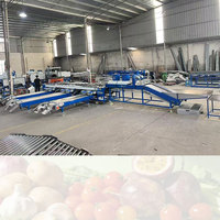 Commerciële citrus sorteermachine, automatische sinaasappel, peer en mandarijn sorteerder, 304 roestvrij staal, capaciteit 2-10 ton, fruitreiniging