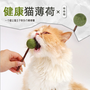 ของเล่นแมวแบบอมยิ้ม แคทนิป สำหรับดูแลช่องปากและกระตุ้นการเล่นแบบโต้ตอบ - Product Image 1