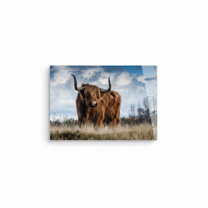 Printed Canvas Artwork: Highland Cow <b>Poster</b> with Scottish Charm,TEMPERED GLASS ART - Product Image 2