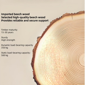 Lettino da Massaggio Portatile Pieghevole per Salone di Bellezza, Spugna ad Alta Densità, Telaio in Legno di Faggio, Altezza Regolabile - Stile Moderno per Trattamenti Viso - Product Image 4