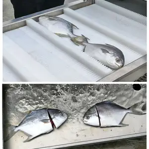 Chuyên Nghiệp Lớn Cá Ngừ Loại Bỏ Deheading Cắt Máy Laser Lớn Đầu Cắt Cá Máy Móc Chế Biến
