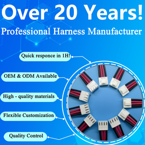 Chicote Elétrico Personalizado com Conectores JST ZH PH EH XH, Passo de 1.0, 1.25, 1.5, 2.0, 2.54 mm, Cabo Flat LVDS de 2, 3, 4, 5, 6 Pinos AWG26 - Product Image 6