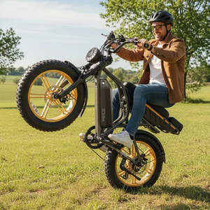 Bicicleta Eléctrica TST R9 para Adultos con Motor de 250W, Batería Integrada de 48V 15Ah/35Ah, Alcance de 55-190km, 25 km/h, Neumático Grueso de 20 Pulgadas - Product Image 2