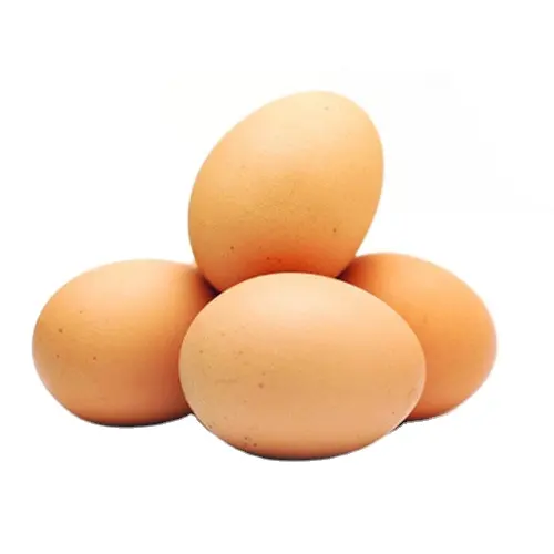 Uova fresche da tavola di pollo/uova bianche e marroni disponibili.