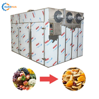 Solar Infrarood Fruit Droger/Elektrische Fruit Droger