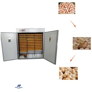 Incubateur à œufs de poulet de marque NP, incubateur à œufs de 5000 œufs, incubateur à œufs de <span class=keywords><strong>faisan</strong></span>, incubateur à œufs automatique - Product Image 1