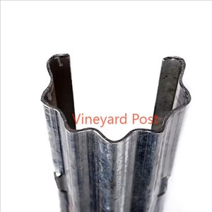 Poteaux de vignoble galvanisés à chaud Enjeux de <span class=keywords><strong>vigne</strong></span> en <span class=keywords><strong>acier</strong></span> <span class=keywords><strong>galvanisé</strong></span> Enjeux de <span class=keywords><strong>vigne</strong></span> en métal - Product Image 3