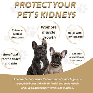 יואן מחמד oem odm כלב שריר מזון עבור כוח & ביצועים שרירן משקל - Product Image 5