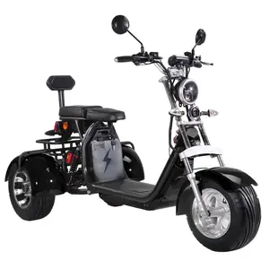 ЕС склад во Францию трехколесный электрический скутер электрический мотоцикл Скутер citycoco