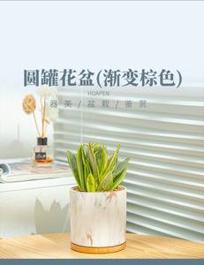 Maceta <span class=keywords><strong>de</strong></span> mármol para flores, maceta suculenta <span class=keywords><strong>de</strong></span> cerámica, maceta con patrón <span class=keywords><strong>de</strong></span> mármol nórdico, jarrón <span class=keywords><strong>de</strong></span> escritorio (planta no incluida), Juego <span class=keywords><strong>de</strong></span> 3 uds. - Product Image 6