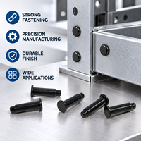 TianFang Custom Pan Head Black Zinc Plated Stainless Steel Solid Step Rivets, End Cap Fasteners, ISO Certified, for Car Wipers