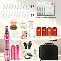 Großhandel Kabelloses Permanent Make-up Gerät mit Einstellbarer Vibrationsfrequenz und Nadelset Microblading PMU Starter-Kit
