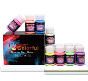 12 Farben Kit DIY Schuhe Schleim Glow in the Dark Paint Luminous Paint