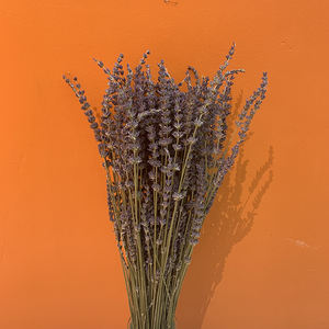 V590 Meilleures ventes d'<span class=keywords><strong>Amazon</strong></span>, vente en gros naturelle, moins cher, <span class=keywords><strong>bouquet</strong></span> de <span class=keywords><strong>fleurs</strong></span> <span class=keywords><strong>séchées</strong></span>, <span class=keywords><strong>fleurs</strong></span> de lavande <span class=keywords><strong>séchées</strong></span> à vendre - Product Image 4