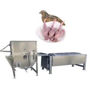 Automatic bird Slaughter 2000 Quail Abattoir Slaughter Equipment quail slaughtering line