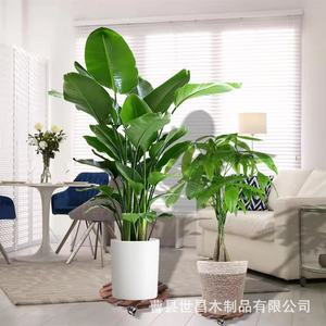 Plateau rond en bois pour plantes avec roulettes, support de fleurs rotatif portable, rangement pour usage intérieur et extérieur - Product Image 2
