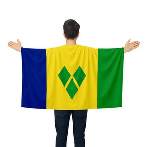 Marchandises du drapeau de Saint-<span class=keywords><strong>Vincent</strong></span>-et-les-Grenadines : Ensemble complet de vêtements patriotiques, bijoux, sacs, souvenirs pour fans de sport, cadeaux en gros - Product Image 3
