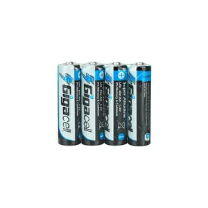 Size AA Alkaline Battery LR6