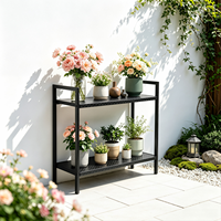 Support de plantes minimaliste à 2 niveaux en métal, revêtement poudré, anti-rouille, robuste, écologique, gain de place, pour jardin, maison, balcon, bureau