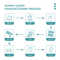 Gummies OEM Complexe B Vitamines B1 B2 B3 B6 B12 Supplément Haute Puissance Formule Complète Énergie Cellulaire Métabolisme Immunité