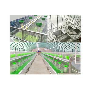 Jaula de conejo <span class=keywords><strong>para</strong></span> cría, alta tasa de supervivencia, agua potable automática, precio de fábrica - Product Image 1