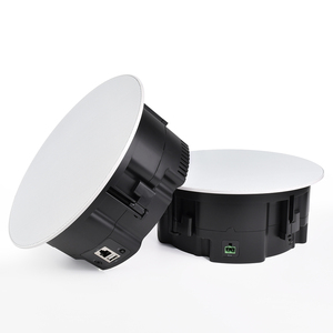 Altavoz de <span class=keywords><strong>techo</strong></span> pasivo/Activo inalámbrico profesional, receptor <span class=keywords><strong>WiFi</strong></span> de 2,4G y 5G, sistema de Audio multihabitación, de tipo inalámbrico, a prueba de agua - Product Image 1
