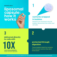 Capsules liposomales NAD+ Resvératrol CoQ10 en marque blanche OEM pour l'anti-âge et la longévité, supplément d'énergie cellulaire, vente en gros