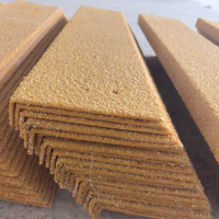 Nez d'escalier pultrudé FRP, couverture de marche antidérapante en fibre de verre FRP GRP pour bande de roulement d'escalier