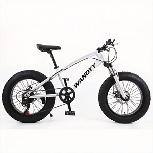 Bicicleta de Montaña WANDYY con Llantas Gruesas de 20, 24 y 26 Pulgadas, Bicicleta para Nieve y Playa 4.0 - Product Image 4