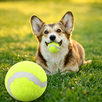 Balle de tennis pour chien, jouet à mâcher pour animaux de compagnie, balle d'entraînement très élastique pour nettoyer les dents du chien, jeu interactif