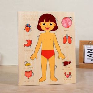 Puzzle en bois d'anatomie humaine, ensemble de jeu éducatif de la structure du corps humain, jouet de dessin animé DIY pour enfants - Product Image 6