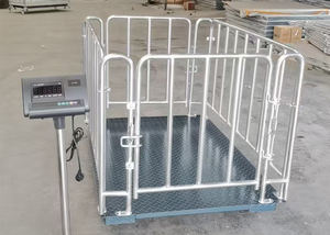 कारखाने प्रत्यक्ष बिक्री नई इलेक्ट्रिक सुअर इलेक्ट्रॉनिक पशु वजन पैमाने डिजिटल वजन बाड़ 500-3000 किलोग्राम स्टेनलेस स्टील का उपयोग किया जाता है - Product Image 3