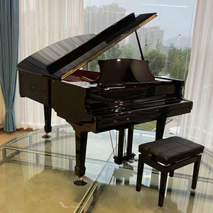 Pianoforte <span class=keywords><strong>a</strong></span> Mezza Coda da Concerto Hailun HG198 Nero, un Pianoforte Durevole ed Elegante Adatto agli Appassionati di Musica - Product Image 5