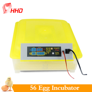 <span class=keywords><strong>Howard</strong></span> manufactory-incubadora de huevos, bandejas de agua, 12v, 220v - Product Image 5