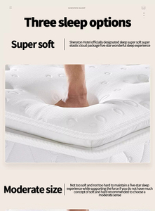 Chất Lượng Cao Bọt Mùa Xuân Nệm Nén Tốt Nhất Túi Cuộn Dây Mùa Xuân Nệm - Product Image 6