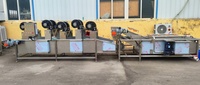 Industriële bubbelwasmachine van roestvrij staal voor het reinigen van fruit, groenten en vis voor voedselverwerkingsbedrijven