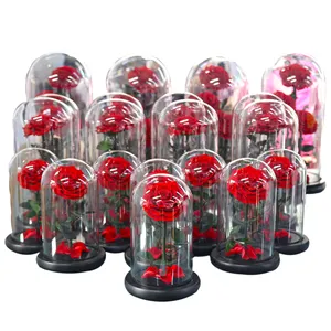 Hot Real Natural Rose Belle Enchanted Valentines Day Gift Box Decor Everlasting Flowers Eternal Rose in Glass Dome LED