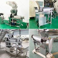 Machine industrielle de pressage et d'extraction de jus de fruits (ananas, tomate, mangue, lait de coco) avec pulpe, modèle 304