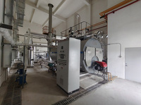 Eau chaude de structure arrière de Web de trois passages basse Four ondulé à gaz industriel automatique de style horizontal de chaudière à vapeur