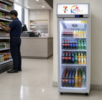 Réfrigérateur de présentation Visicooler Pepsi 400L, 1 porte vitrée double, refroidissement mécanique, pour boissons, vente en gros