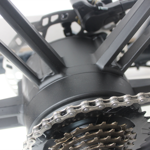 Vélo <span class=keywords><strong>cargo</strong></span> électrique spécialisé avec assistance au pédalage et roues de 20 pouces avec boîte de chargement - Product Image 6